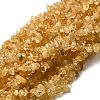 Gemstone Beads Strands X-F044-1