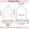Bird Glass Dome Cover AJEW-WH0323-79-2