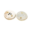 Freshwater Shell Buttons BUTT-Z001-01P-2