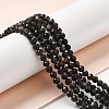 Natural Silver Sheen Obsidian Beads Strands G-E608-A02-C-4