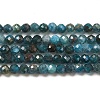 Natural Apatite Beads Strands G-K185-02-3mm-2