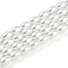 Baking Paint Pearlized Glass Pearl Bead Strands HY-T002-01A-01-3