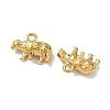 304 Stainless Steel Charms STAS-I367-10G-2