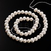 Natural Cultured Freshwater Pearl Beads Strands PEAR-E002-28-01-2