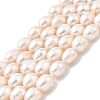 Natural Cultured Freshwater Pearl Beads Strands PEAR-I007-01E-04A-2