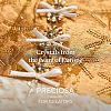 Preciosa® MAXIMA Crystal Round Stones X-PRC-RASS29-50730-5