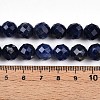 Natural Sodalite Beads Strands G-S345-10mm-26-5