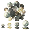 6Pcs Black Lip Shell Pendants SSHEL-YW0001-13A-2