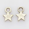 Tibetan Style Alloy Charms LF0790Y-NF-1