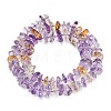 Natural Ametrine Beads Strands G-Z124-A02-02-3