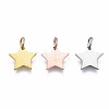 304 Stainless Steel Charms STAS-T059-27-2