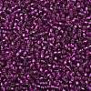 TOHO 8/0 Round Beads SEED-TR08-2223-2