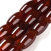 Natural Carnelian Beads Strands G-NH0019-B01-04-1