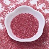 MIYUKI Delica Beads SEED-MY11-DB0172-2