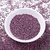 MIYUKI Delica Beads SEED-X0054-DB1848-2