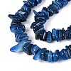 Natural Freshwater Shell Beads Strands SHEL-T020-40C-3