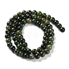 Natural Green Diopside Beads Strands G-NH0031-01A-3