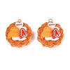 Resin Imitation Food Pendants RESI-D023-02-1