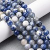 Natural Sodalite Beads Strand GSR8mmC013-5