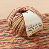 Wool Rainbow Segment Dyed Yarn PW-WG3CD8F-17-1