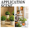 12Pcs 2 Styles Plastic Plant Climbing Trellis AJEW-GO0005-49-5
