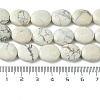 Natural Howlite Beads Strands G-K365-B14-02-5