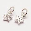 Brass Micro Pave Grade AAA Cubic Zirconia Charms ZIRC-G090-17P-NR-1