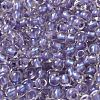 6/0 Transparent Colours Glass Seed Beads SEED-P006-01A-14-3