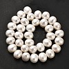 Electroplated Shell Pearl Beads Strands BSHE-C009-03B-3