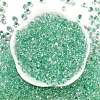 6/0 Spray Paint Glass Seed Beads SEED-H003-11L-3