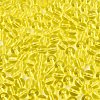 FGB Transparent Glass Seed Beads SEED-N013-01B-12-3