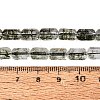 Crackle Transparent Glass Beads Strands GLAA-N068-05A-02-4
