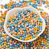 Baking Painted Glass Seed Beads SEED-C004-01Q-2