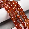 Natural Agate Beads Strands G-B079-E01-01A-2