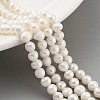 Natural Cultured Freshwater Pearl Beads Strands PEAR-C003-10A-2