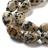 Natural Dalmatian Jasper Beads Strands G-B106-A29-02-4