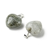 Natural Labradorite Pendants G-F820-10A-06-2
