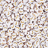 500Pcs Plating Acrylic Beads PACR-TADJ0001-01J-2