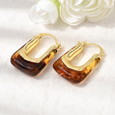 Brass Resin Hoop Earrings EJEW-P333-11B-G02-1