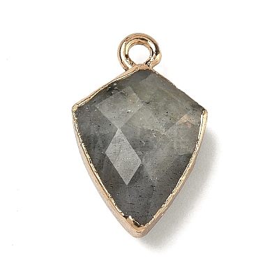 Natural Labradorite Pendants G-K422-01G-14-1