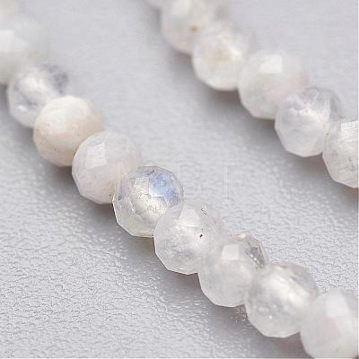 Natural Rainbow Moonstone Bead Strands G-P213-21-3mm-1