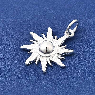 925 Sterling Silver Pendants STER-K188-14S-1