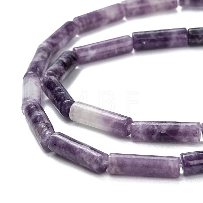 Natural Lepidolite/Purple Mica Stone Beads Strands G-F247-45-1