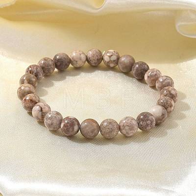 Natural Maifanite/Maifan Stone Bead Stretch Bracelets X-BJEW-K212-B-044-1