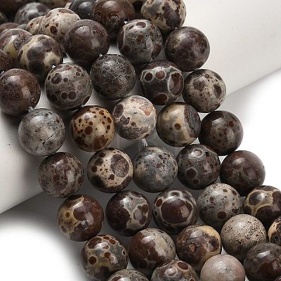 Natural Astroite Jasper Beads Strands G-H329-C02-10mm-1