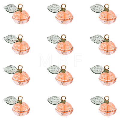 20Pcs Transparent Glass Charms PALLOY-YW00094-1