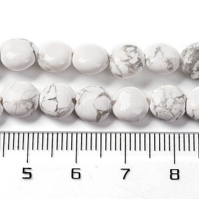 Natural Howlite Beads Strands G-T047-A03-01-1