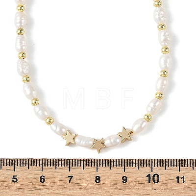 Natural Cultured Freshwater Pearl Two Sides Polished & Brass Star Beaded Necklaces for Women NJEW-JN06356-1