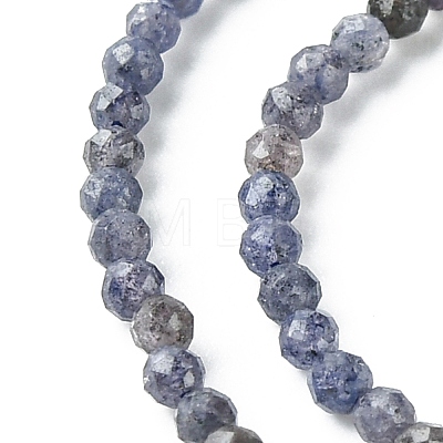 Natural Sapphire Beads Strands G-F748-M01-01-1