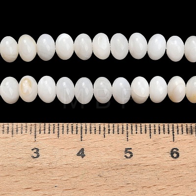 Natural Freshwater Shell Beads Strands SHEL-C010-04A-02-1